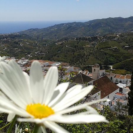 Villa Casa Ana, Fantásticas vistas al pueblo, el mar y la montaña Frigiliana Esterno foto