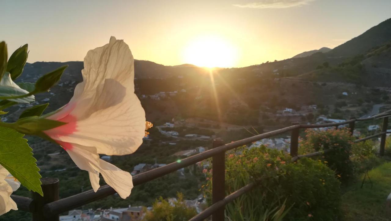 Villa Casa Ana, Fantásticas vistas al pueblo, el mar y la montaña Frigiliana Esterno foto