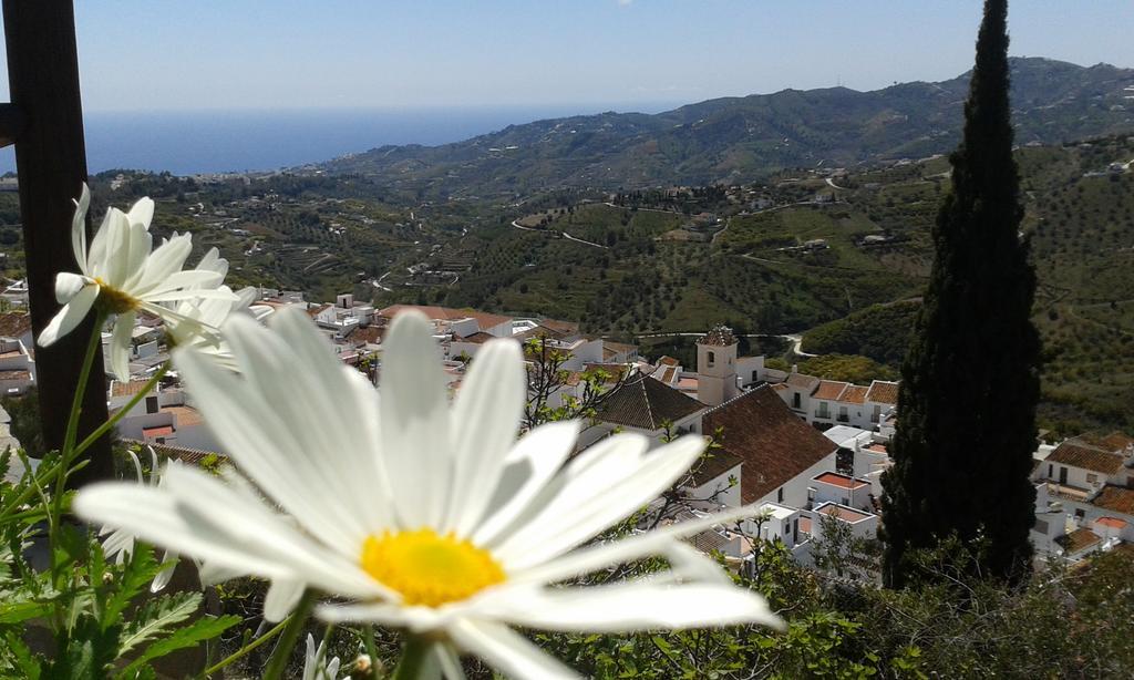 Villa Casa Ana, Fantásticas vistas al pueblo, el mar y la montaña Frigiliana Esterno foto